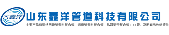山東17·c一起草（yáng）管道科技有限公司